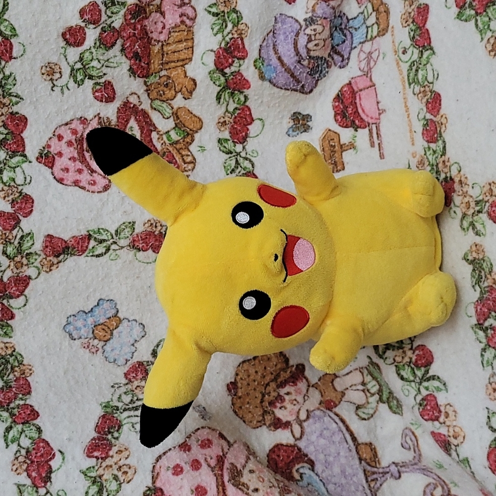 Pikachu Plush With Storage